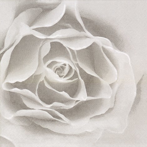 Silver Rose Lunch Napkins - 20 Paper Napkins