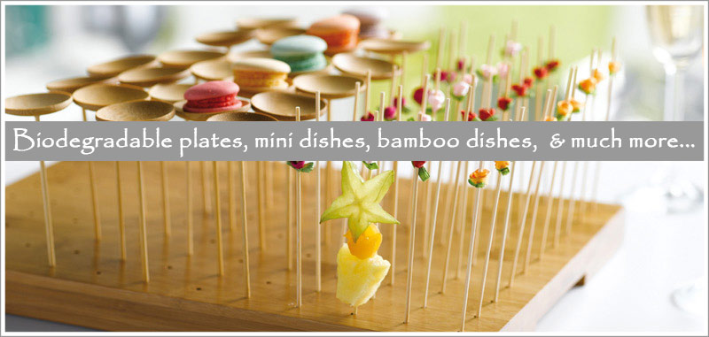 eco friendly dishes
