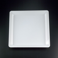 Disposable 16"x16"x16" White Plastic Triangle Plastic Tray-Posh Party Supplies