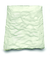 Elegant Plastic Contemplate Clear Green 5" x 10.75" Rectangle Plates - PoshPartySupplies.com