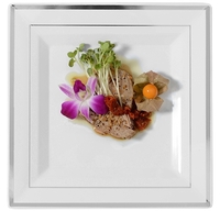Square 10" White and Silver Dinner Plates 