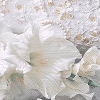 Pretty Mariage Blanc Designer Lunch Napkins - Posh Party Supplies